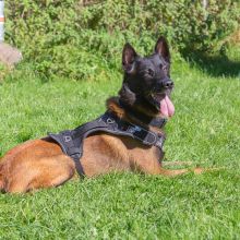 20211010 IMG 0077 1400