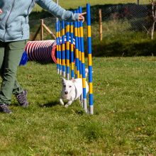 20211010 IMG 9805 1400