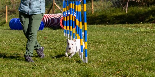 20211010 IMG 9805 1400