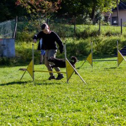 20211010 IMG 9858 1400