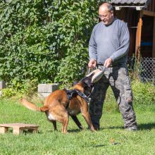 20211010 IMG 9922 1400