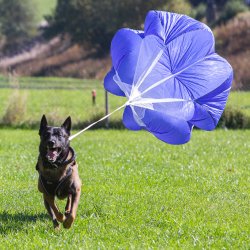 20211010 IMG 9975 1400