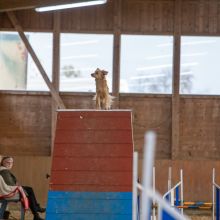 20211030 IMG 0174 1400