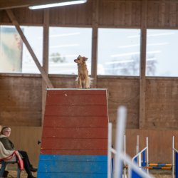 20211030 IMG 0174 1400