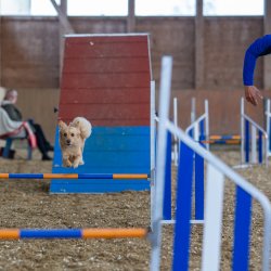 20211030 IMG 0178 1400