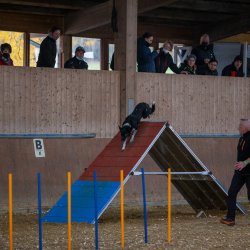 20211030 IMG 0199 1400