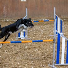 20211030 IMG 0206 1400