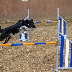 20211030 IMG 0206 1400