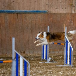 20211030 IMG 0211 1400