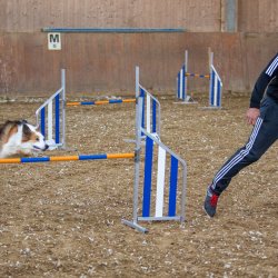 20211030 IMG 0215 1400