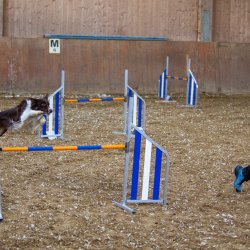 20211030 IMG 0225 1400