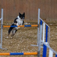 20211030 IMG 0230 1400