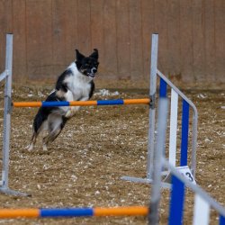 20211030 IMG 0230 1400