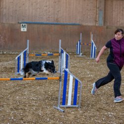 20211030 IMG 0232 1400