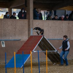 20211030 IMG 0234 1400