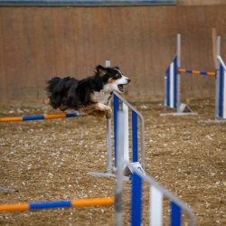 20211030 IMG 0239 1400