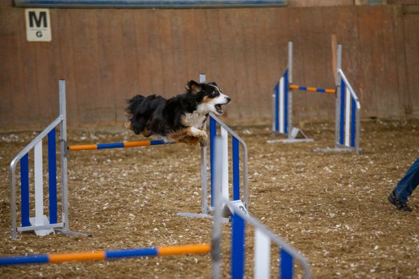 20211030 IMG 0239 1400