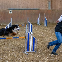 20211030 IMG 0243 1400