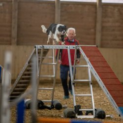 20211030 IMG 0250 1400