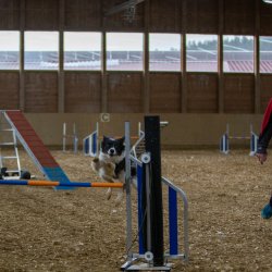 20211030 IMG 0256 1400