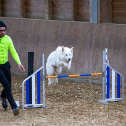 20211030 IMG 0298 1400