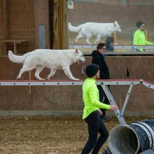 20211030 IMG 0306 1400