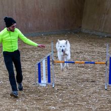 20211030 IMG 0310 1400