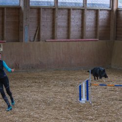 20211030 IMG 0326 1400