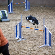 20211030 IMG 0336 1400