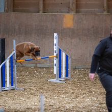 20211030 IMG 0343 1400