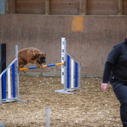 20211030 IMG 0343 1400