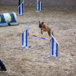 20211030 IMG 0352 1400