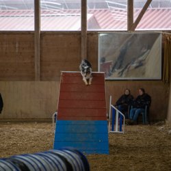 20211030 IMG 0364 1400