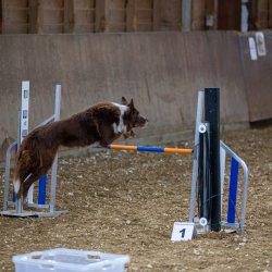 20211030 IMG 0377 1400