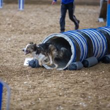 20211030 IMG 0381 1400