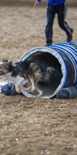 20211030 IMG 0381 1400