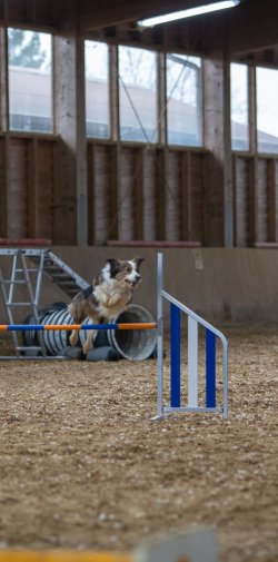 20211030 IMG 0383 1400