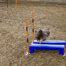 20211030 IMG 0401 1400