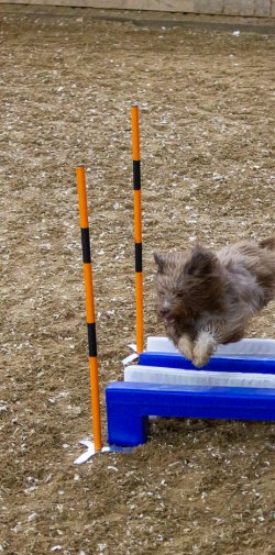 20211030 IMG 0401 1400