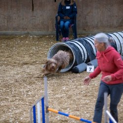 20211030 IMG 0405 1400