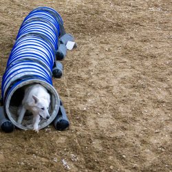 20211030 IMG 0422 1400