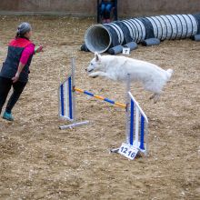 20211030 IMG 0428 1400