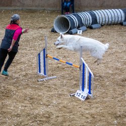 20211030 IMG 0428 1400