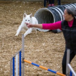 20211030 IMG 0441 1400