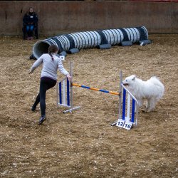 20211030 IMG 0457 1400