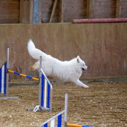 20211030 IMG 0463 1400