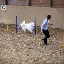 20211030 IMG 0466 1400