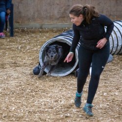 20211030 IMG 0482 1400