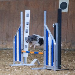 20211030 IMG 0486 1400