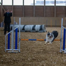 20211030 IMG 0494 1400